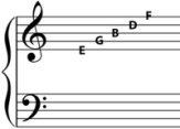 notes on the lines of the g clef